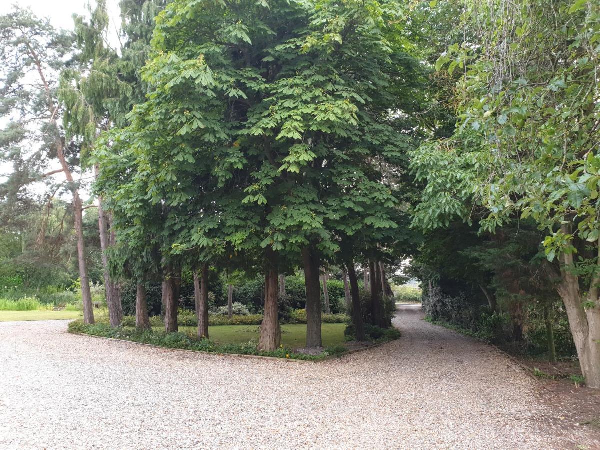The Reading Whole Chalet With Lake And Two Acre Gardens מראה חיצוני תמונה