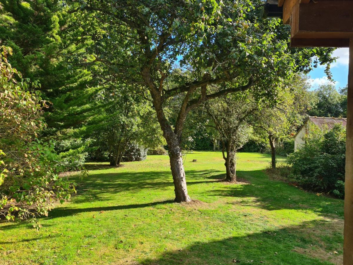 The Reading Whole Chalet With Lake And Two Acre Gardens מראה חיצוני תמונה